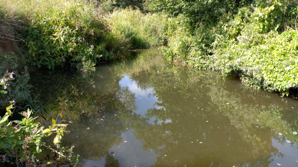 Photo of the deep Pool